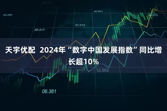 天宇优配  2024年“数字中国发展指数”同比增长超10%