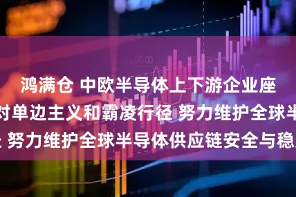 鸿满仓 中欧半导体上下游企业座谈会：坚决反对单边主义和霸凌行径 努力维护全球半导体供应链安全与稳定