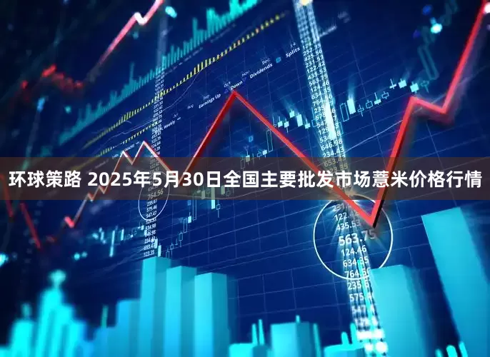 环球策路 2025年5月30日全国主要批发市场薏米价格行情