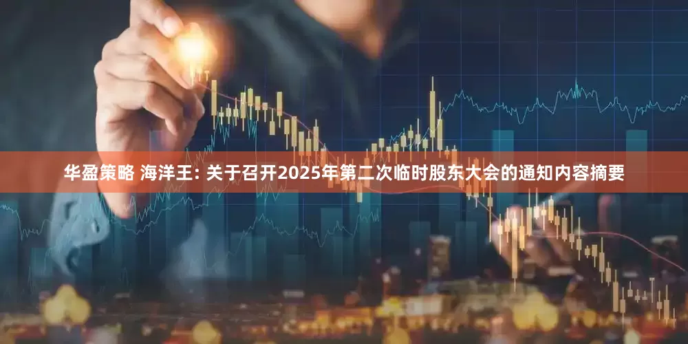 华盈策略 海洋王: 关于召开2025年第二次临时股东大会的通知内容摘要